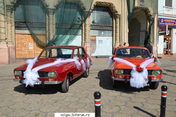 Doua superbe Dacii 1300 in Ungaria - dacia 1300 la nunta - Auto