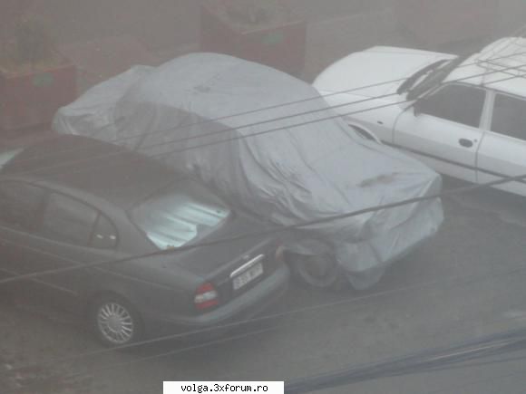 Frumuseti surprinse in tara - sau alta mai clara - Auto