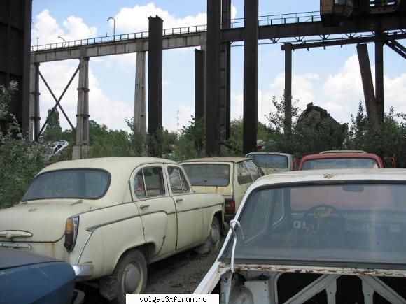 Frumuseti surprinse in tara - da am mai auzit de cazuri dastea, o singur data - Auto