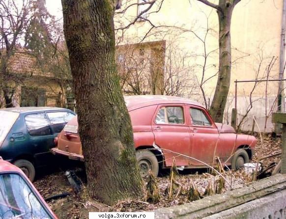 Frumuseti surprinse in tara - Adrian - Auto