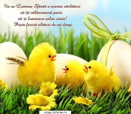 Paste fericit - paste fericit si voua - Non Auto
