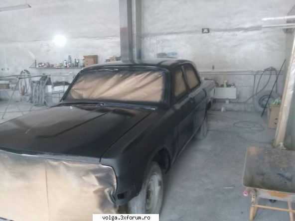 al meu "gris souris" - iulian - Volga M24