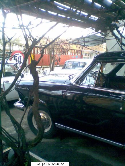 volan volga m21 are cineva? - salut sunt posesor de moskvitch 1500 dar am un - Cumparare piese auto